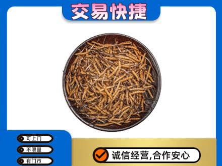 朔州市应市高价回收散虫草